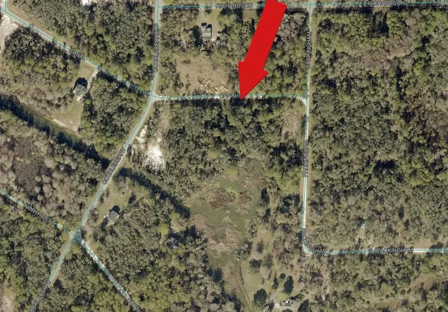 N Canal Street, Webster, FL 33597 - #3