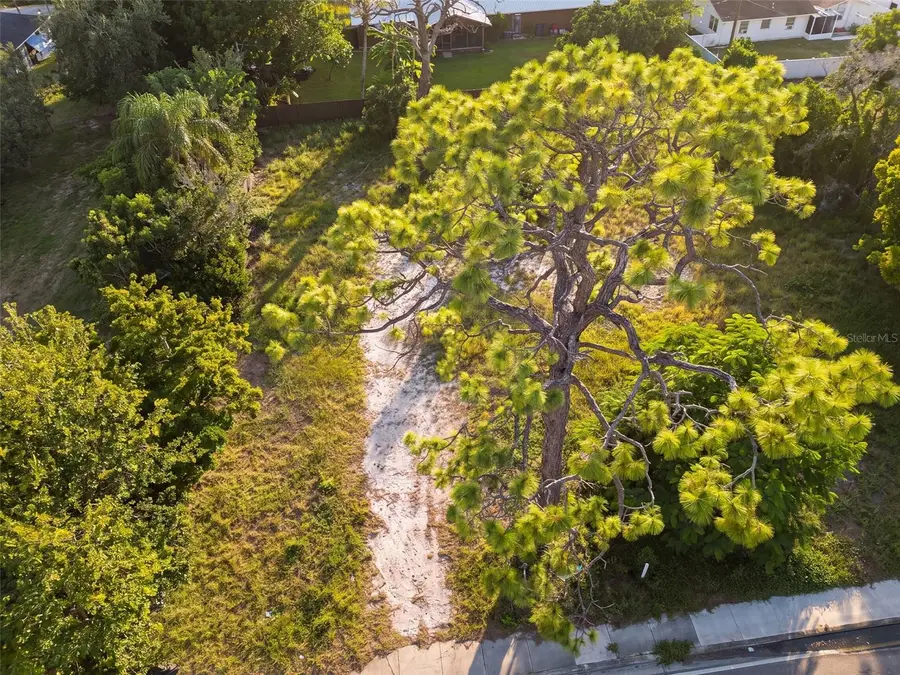 2328 Webber Street, Sarasota, FL 34239 - #3