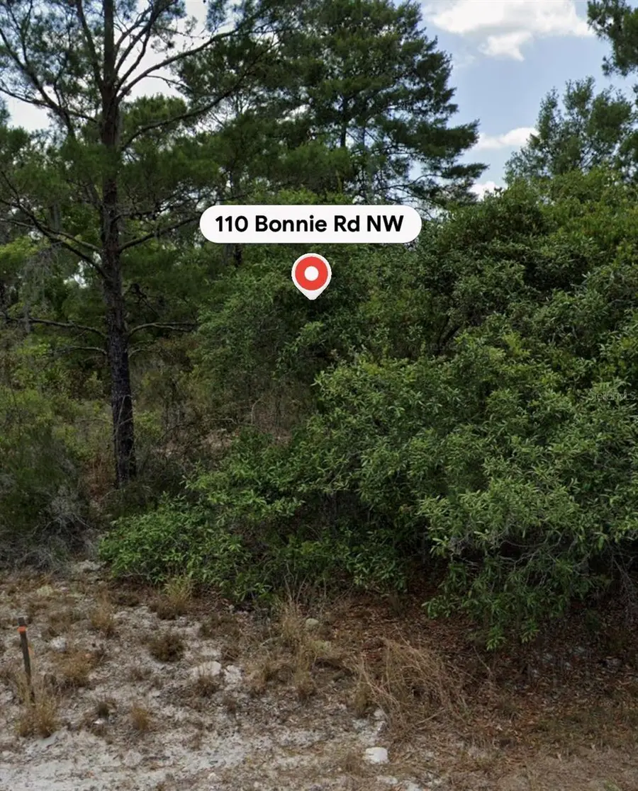 110 Bonnie Road Nw, Lake Placid, FL 33852 - #3
