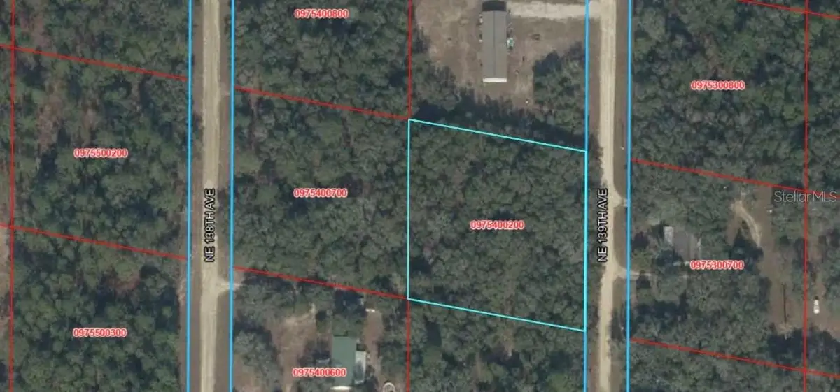 NE 139th Street, Williston, FL 32696 - #1