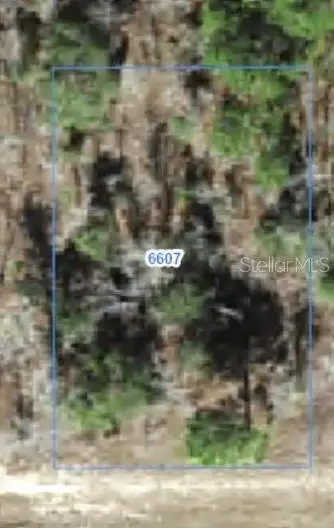 6607 N Bedstrow Boulevard, CITRUS SPRINGS, FL 34434