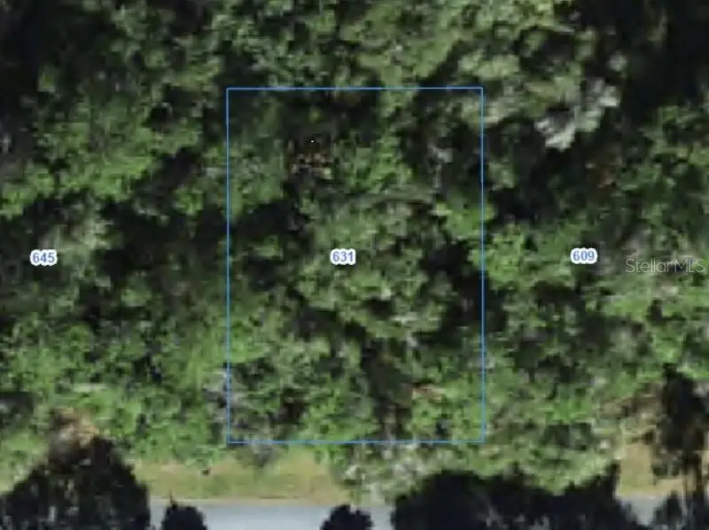 631 W Grapewood Lane, Citrus Springs, FL 34434 - #1