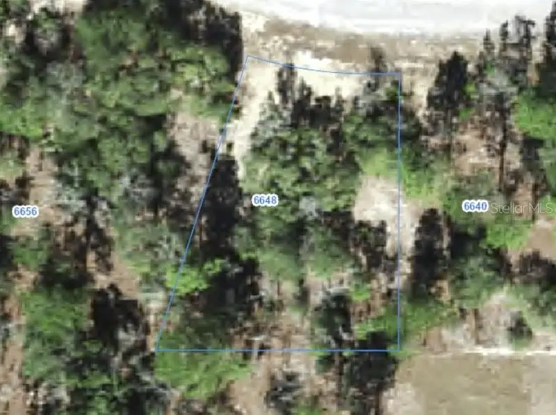 6648 N Sand Drive, Citrus Springs, FL 34433 - #1