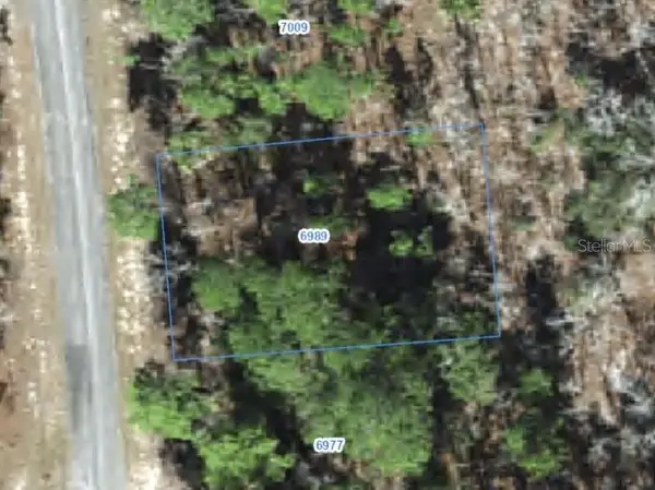 6989 N Foxdale Drive, CITRUS SPRINGS, FL 34434