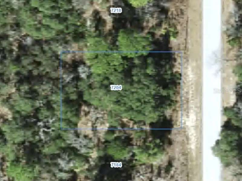 7204 N Ripley Drive, Citrus Springs, FL 34433 - #1