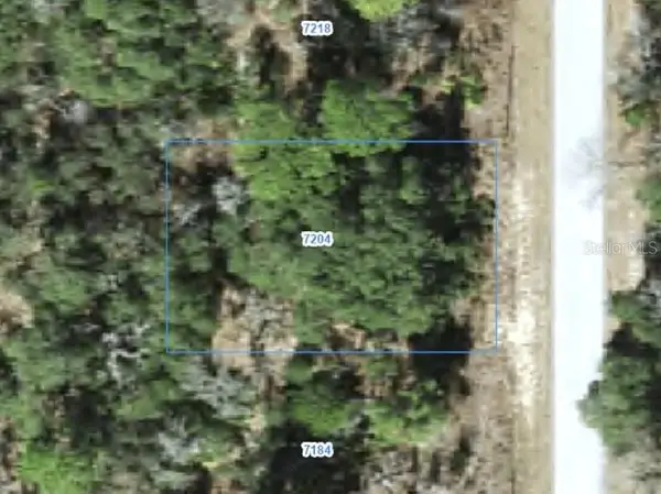 7204 N Ripley Drive, CITRUS SPRINGS, FL 34433