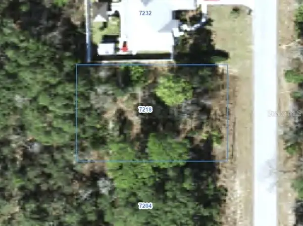 7218 N Ripley Drive, CITRUS SPRINGS, FL 34433