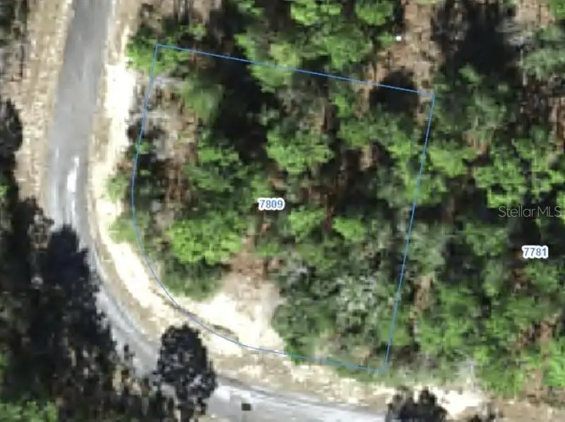 7809 N Ibsen Drive, Citrus Springs, FL 34433 - #1