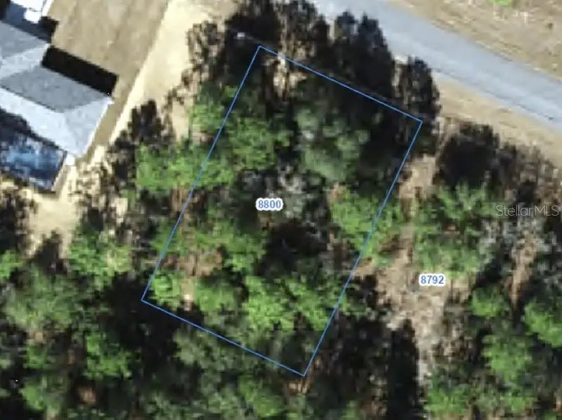 8800 N Paradisea Drive, Citrus Springs, FL 34433 - #1