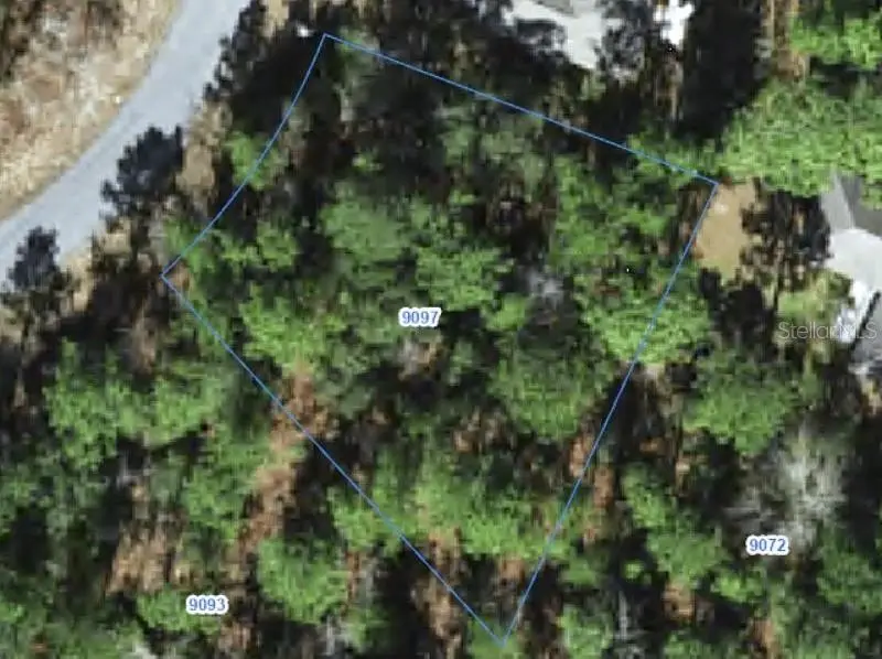 9097 N Saponaria Drive, Citrus Springs, FL 34433 - #1