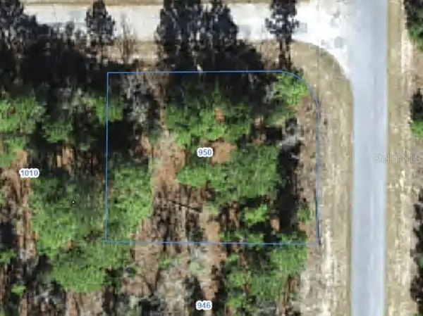 950 W Cary Drive, CITRUS SPRINGS, FL 34434
