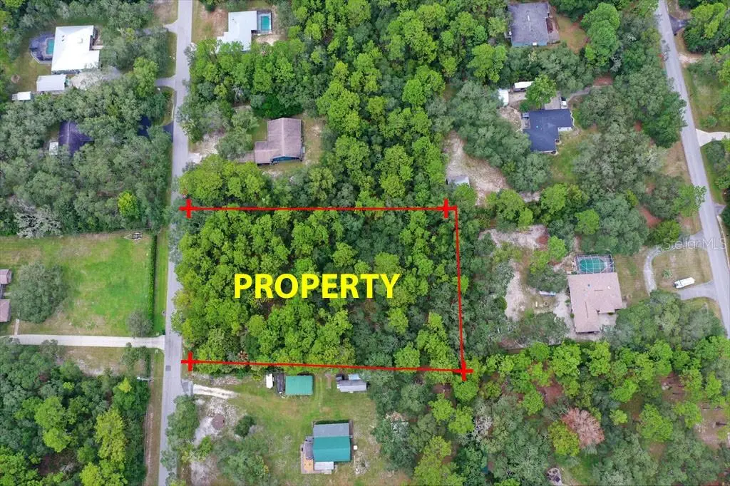 2659 S Bolton Avenue, Homosassa, FL 34448 - #1
