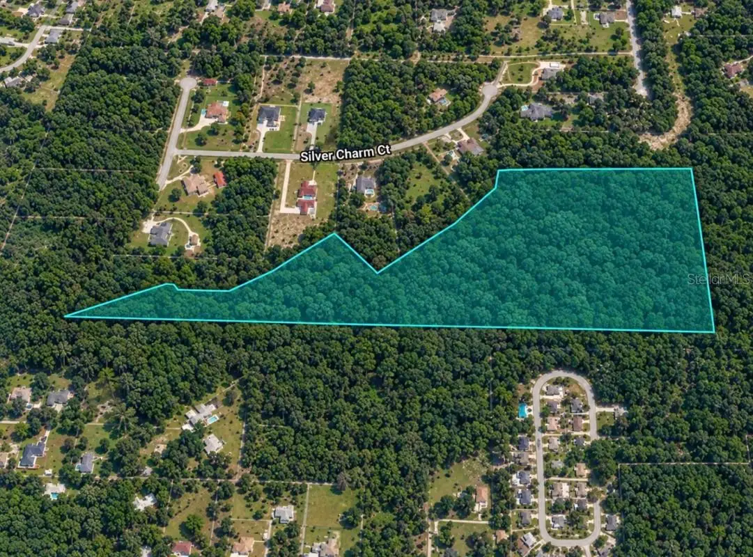 Secretariat Trail, Leesburg, FL 34748 - #1