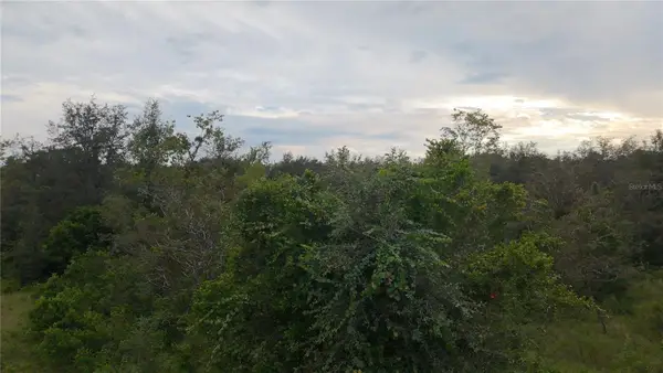 7388 N Manville Road, CITRUS SPRINGS, FL 34434
