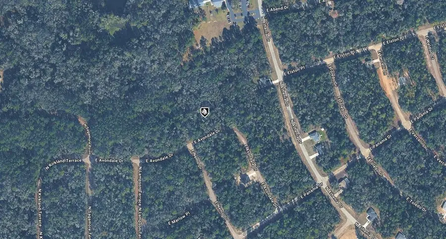 471 E Avondale Drive, Citrus Springs, FL 34434 - #2