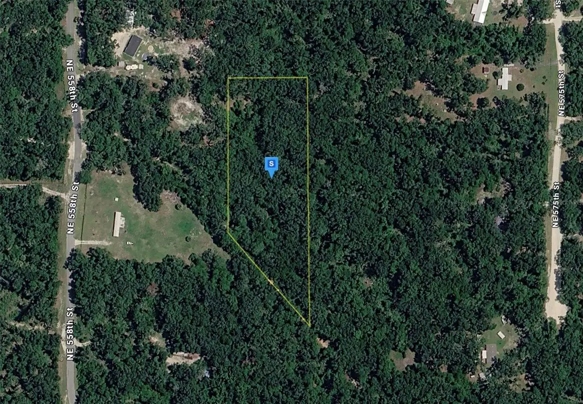 459 NE 558th Street, Old Town, FL 32680 - #1