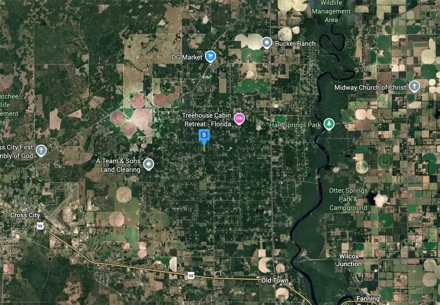 459 NE 558th Street, Old Town, FL 32680 - #3