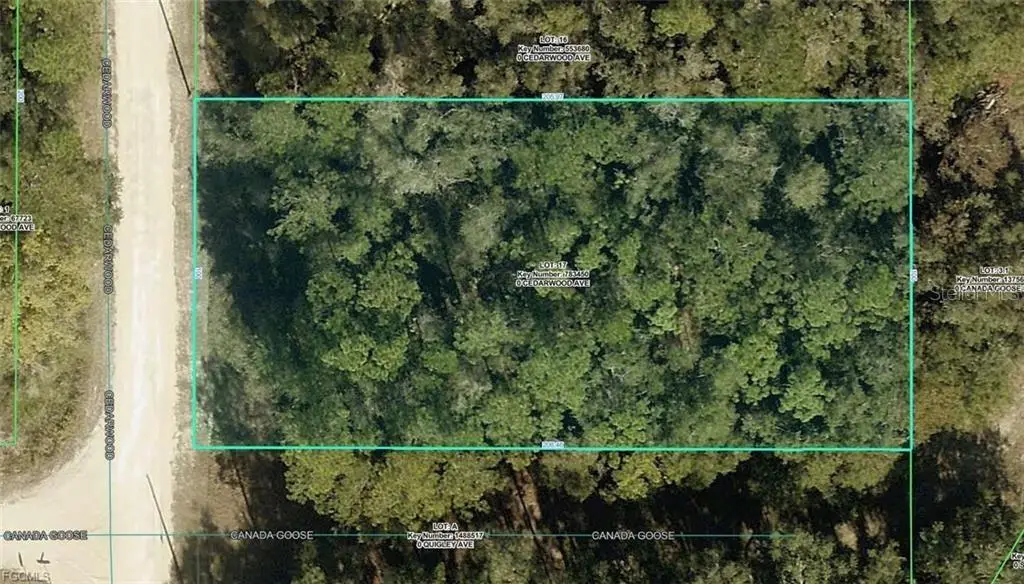 R01-221-17-3357-5520-0170 Cedarwood Avenue, Weeki Wachee, FL 34614 - #1