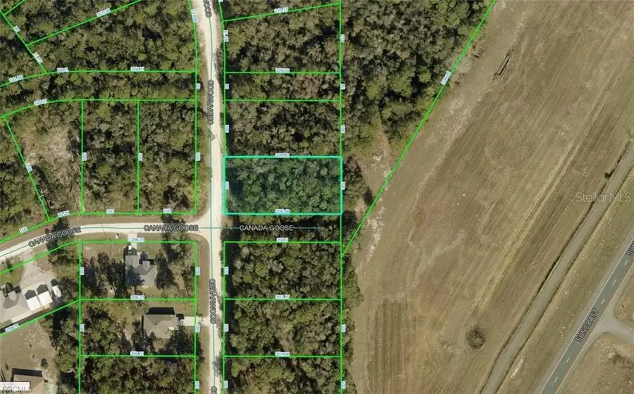 R01-221-17-3357-5520-0170 Cedarwood Avenue, Weeki Wachee, FL 34614 - #2