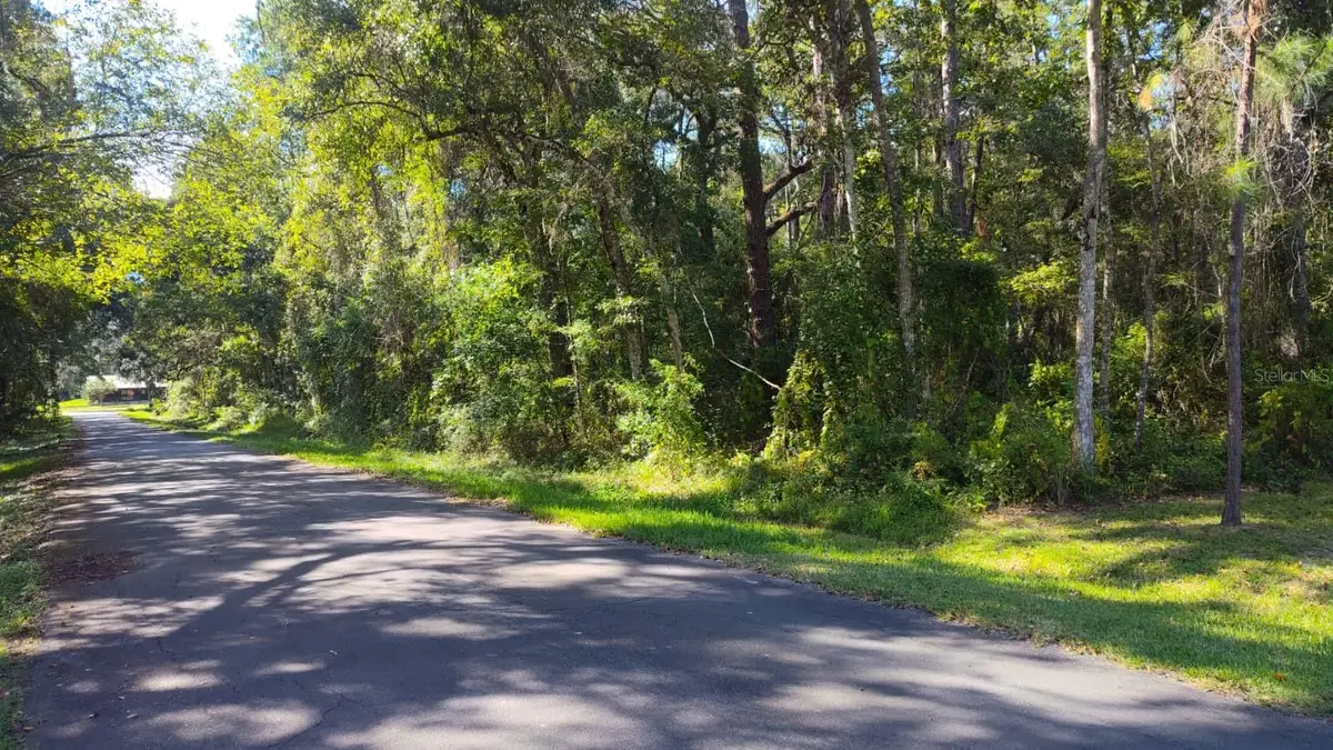 19289 Center Street, Brooksville, FL 34601 - #1