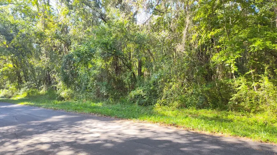 19289 Center Street, Brooksville, FL 34601 - #2