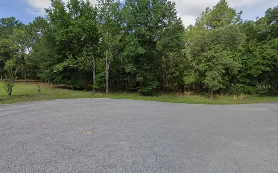 SW 181st Avenue, Dunnellon, FL 34432 - #2