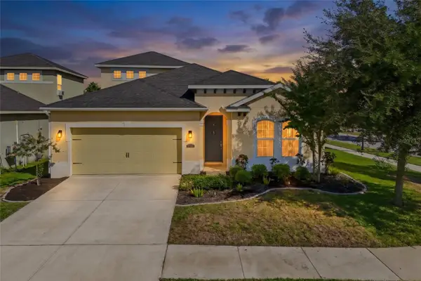 11103 Spring Point Circle, RIVERVIEW, FL 33579