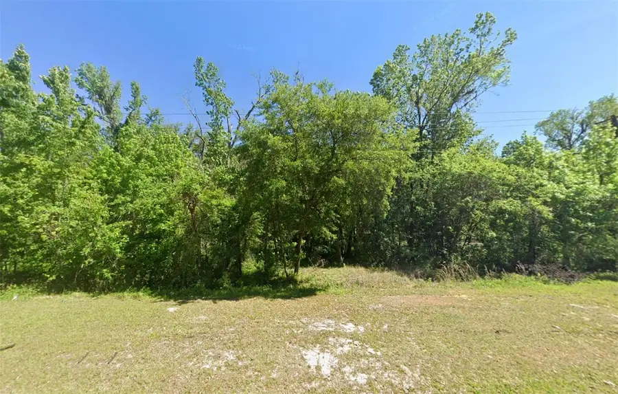 33901 St Joe Road, Dade City, FL 33525 - #2