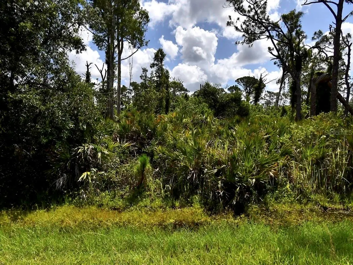 Lots 29 & 30 Vespucius Street, North Port, FL 34287 - #1