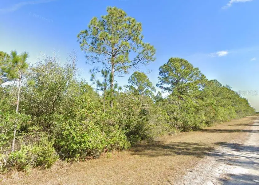 Calendula Drive, Indian Lake Estates, FL 33855 - #1