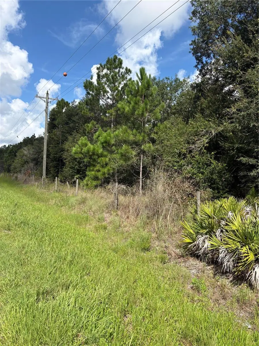 5020 Wauchula Road, Myakka City, FL 34251 - #2