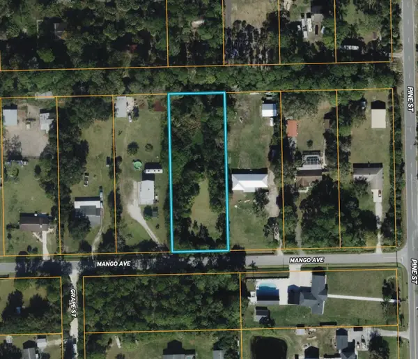 Mango Avenue, COCOA, FL 32926