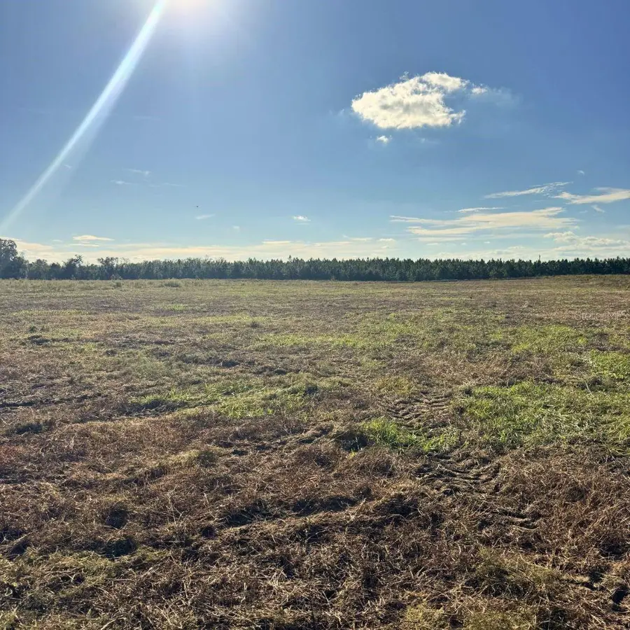 4274 Southwest 99th Avenue, Jasper, FL 32052 - #2