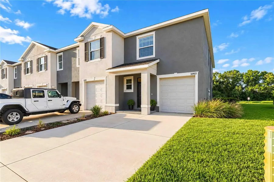32903 Pez Landing Lane, Wesley Chapel, FL 33543 - #2