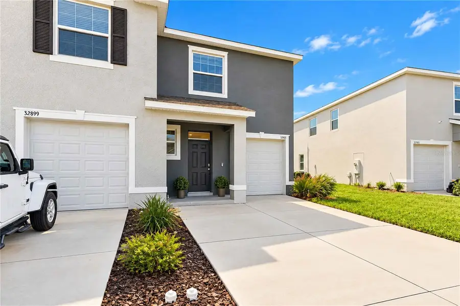 32903 Pez Landing Lane, Wesley Chapel, FL 33543 - #3