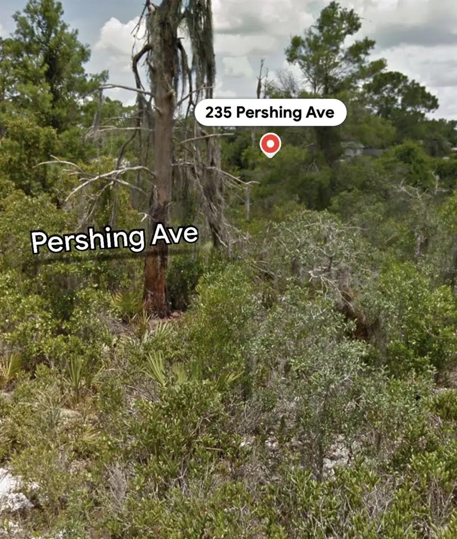 235 Pershing Avenue, Lake Placid, FL 33852 - #3