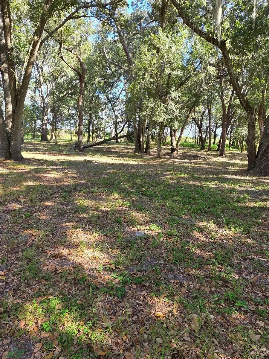 1720 SE Reuben Avenue, Arcadia, FL 34266 - #2