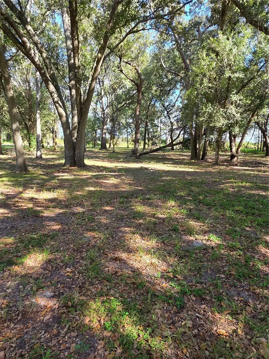 1720 SE Reuben Avenue, Arcadia, FL 34266 - #3