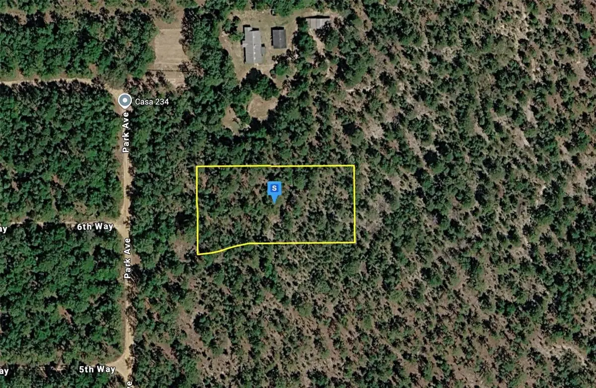 240 Park Avenue, Interlachen, FL 32148 - #1
