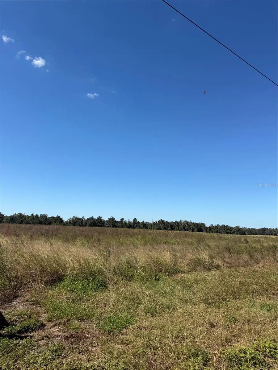 Himrod Road, Bowling Green, FL 33834 - #2