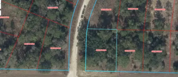 E Levy Street, WILLISTON, FL 32696
