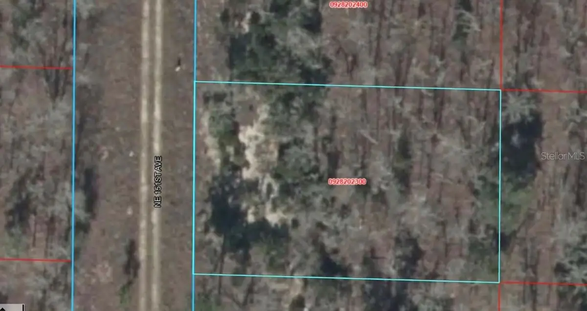 NE 151 Avenue, Williston, FL 32696 - #1