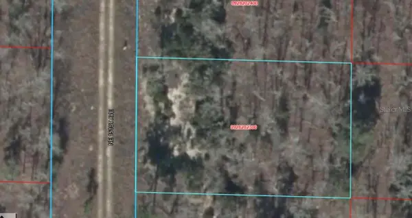 NE 151 Avenue, WILLISTON, FL 32696