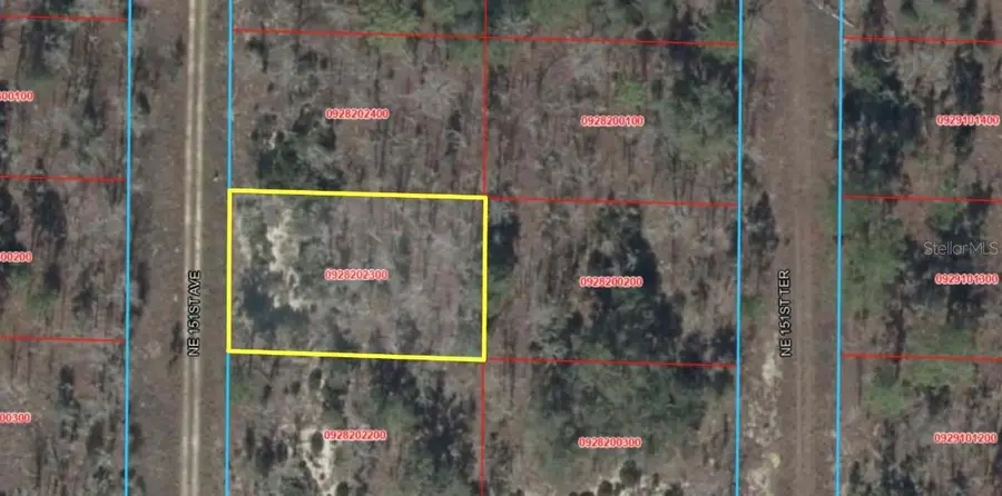 NE 151 Avenue, Williston, FL 32696 - #2