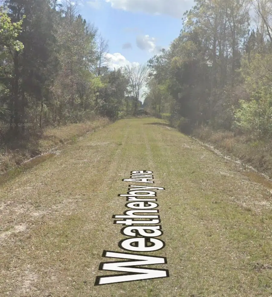10150 Weatherby Avenue, Hastings, FL 32145 - #2