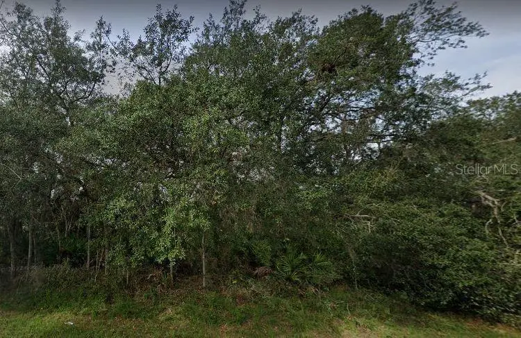 1402 Punta Gorda Court, Poinciana, FL 34759 - #2