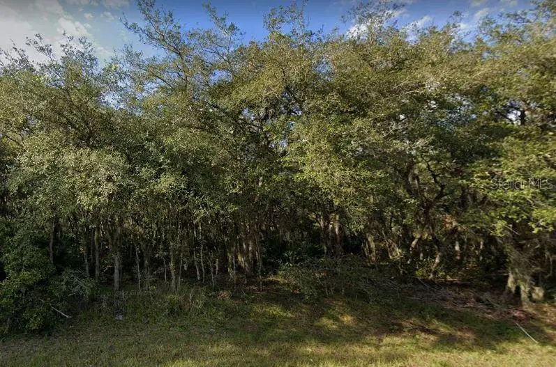 609 Marlin Way, Poinciana, FL 34759 - #3