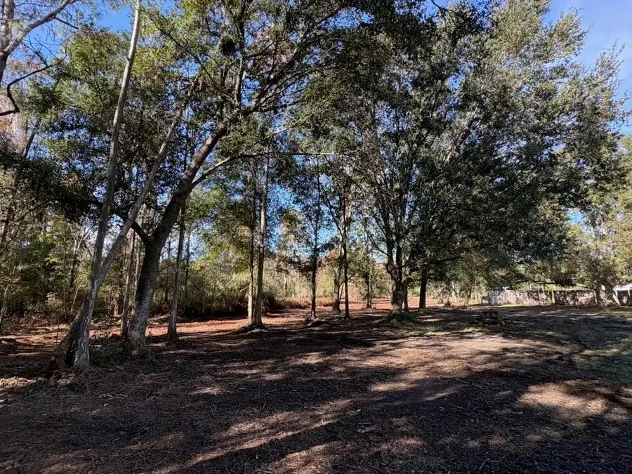 Hammock Loop, Polk City, FL 33868 - Image #2