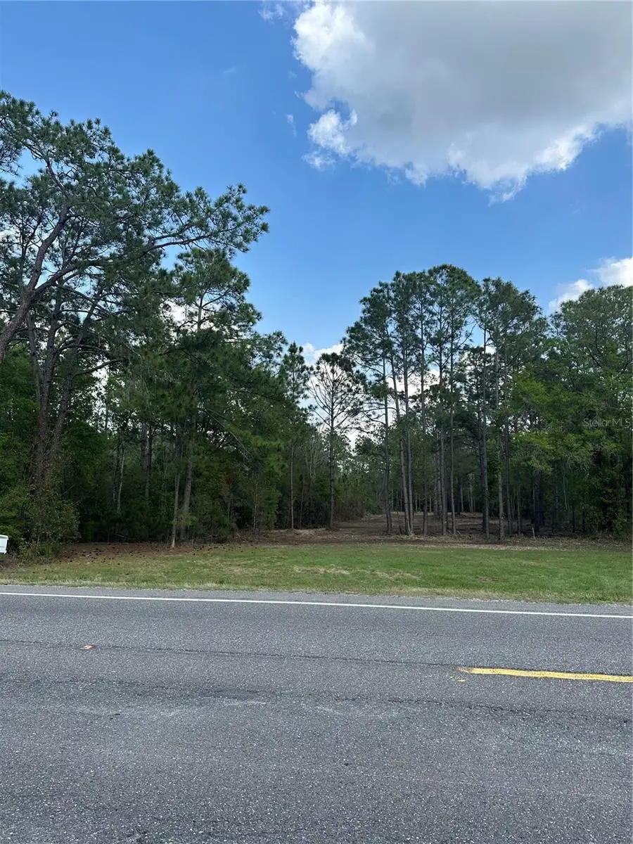 Commonwealth Avenue N, Polk City, FL 33868 - #2