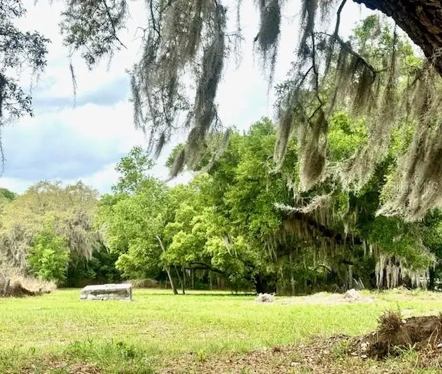 1031 Orange Boulevard, Polk City, FL 33868 - #1